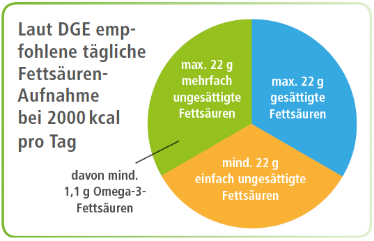 Fettsäurenaufnahme Empfehlung