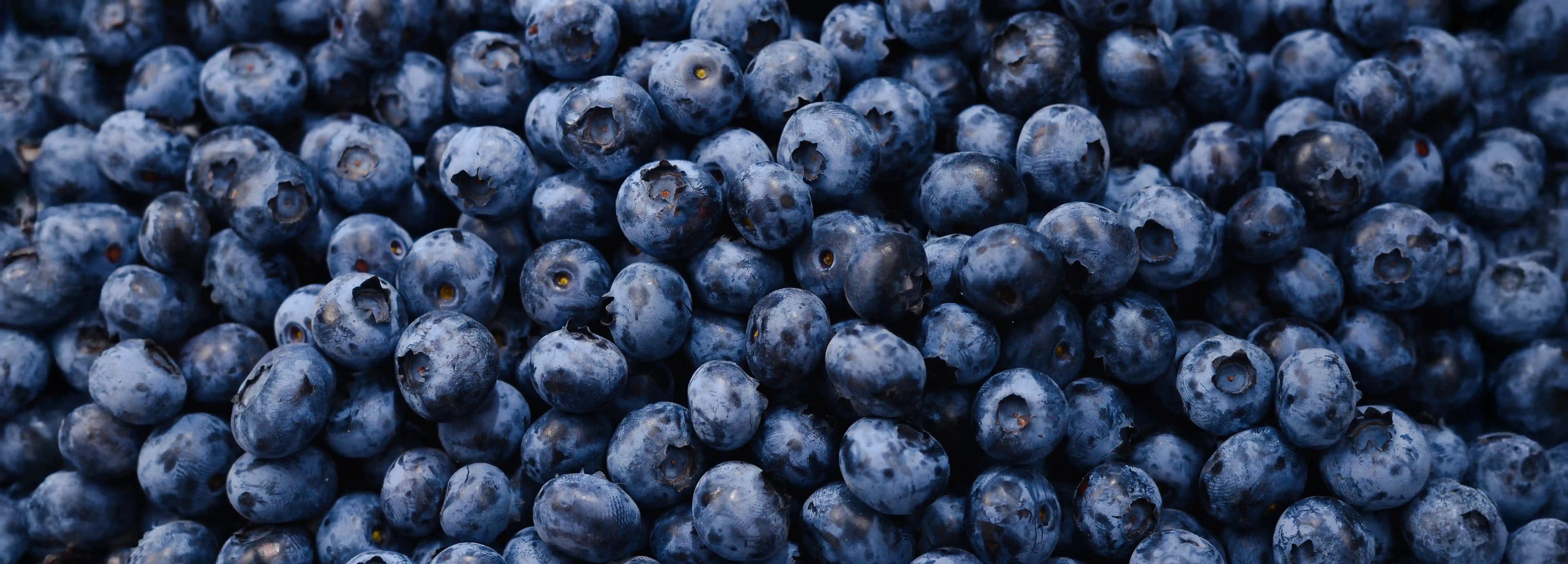Blaubeere