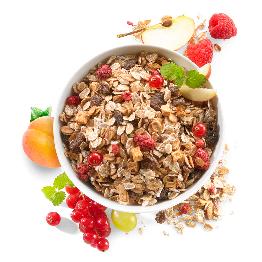 Bio Dinkel-Früchte-Müsli