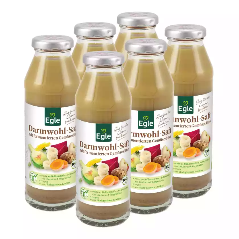 BIO Darmwohl Saft, 6 x 280 ml